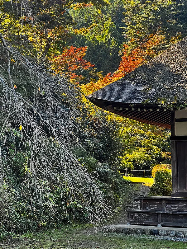 kotokuji-itsukaichi.webp