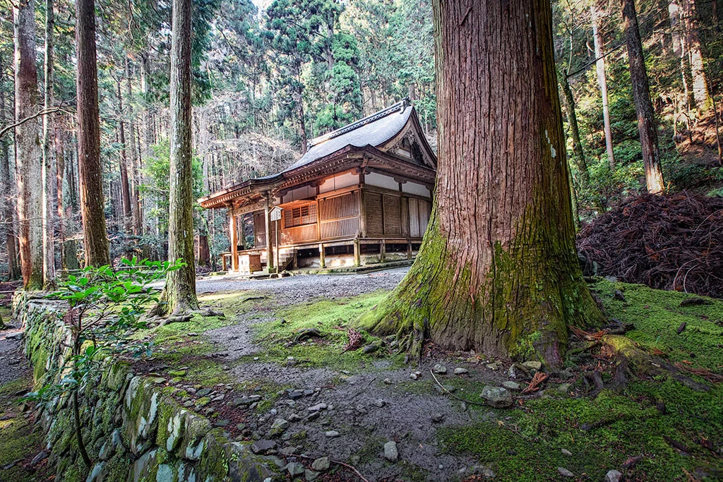 kozanji.webp