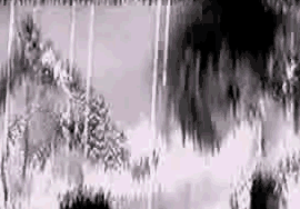 Kyo88.gif