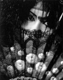 kyo_profile-1.webp