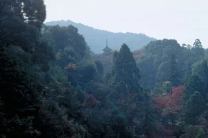 kyoto-1.webp