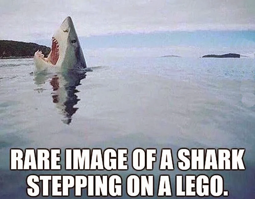 lego.webp