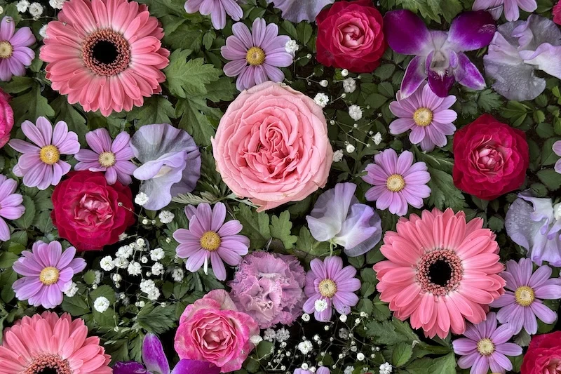 les fleurs.webp