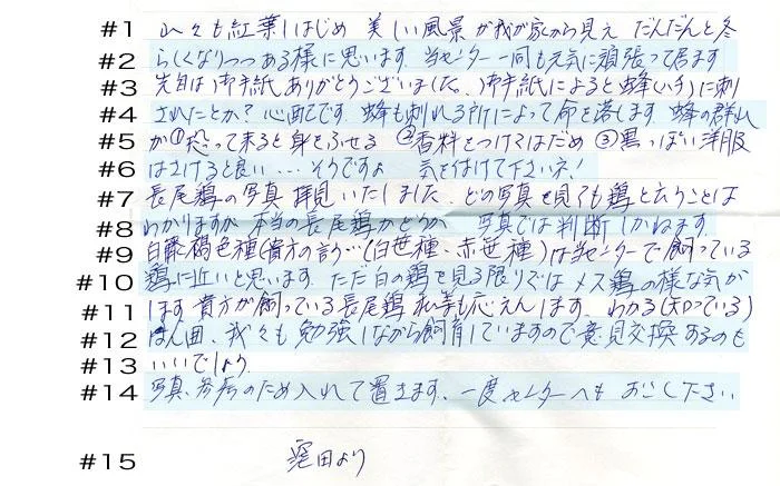 letter1112-1.webp