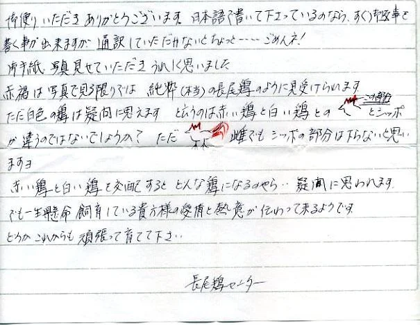 letterfromjapan-1.webp