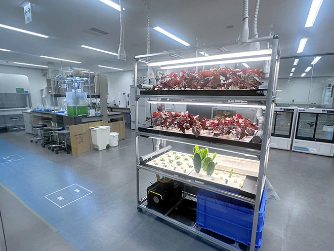More research labs move from suburbs to central Tokyo