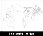 lillyintotheskypb8th-1.webp