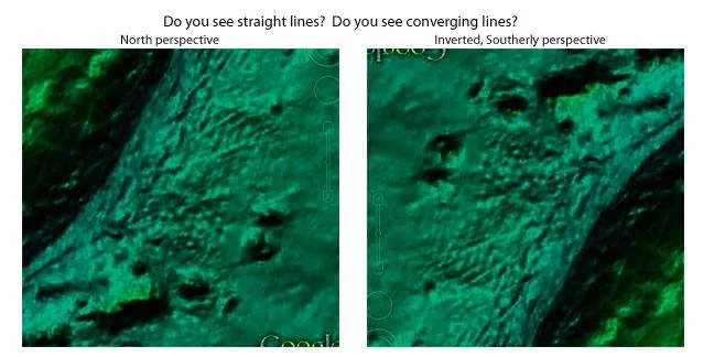 lines7888-1.webp