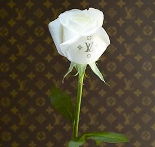 louis_vuitton-1.webp