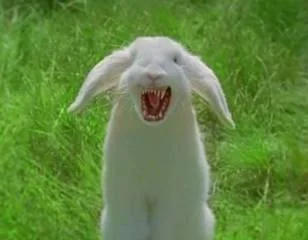 madbunny-1.webp