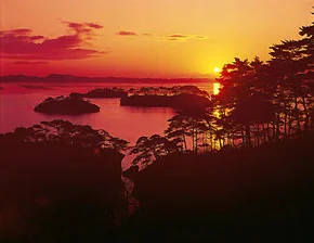 matsushima-s.webp