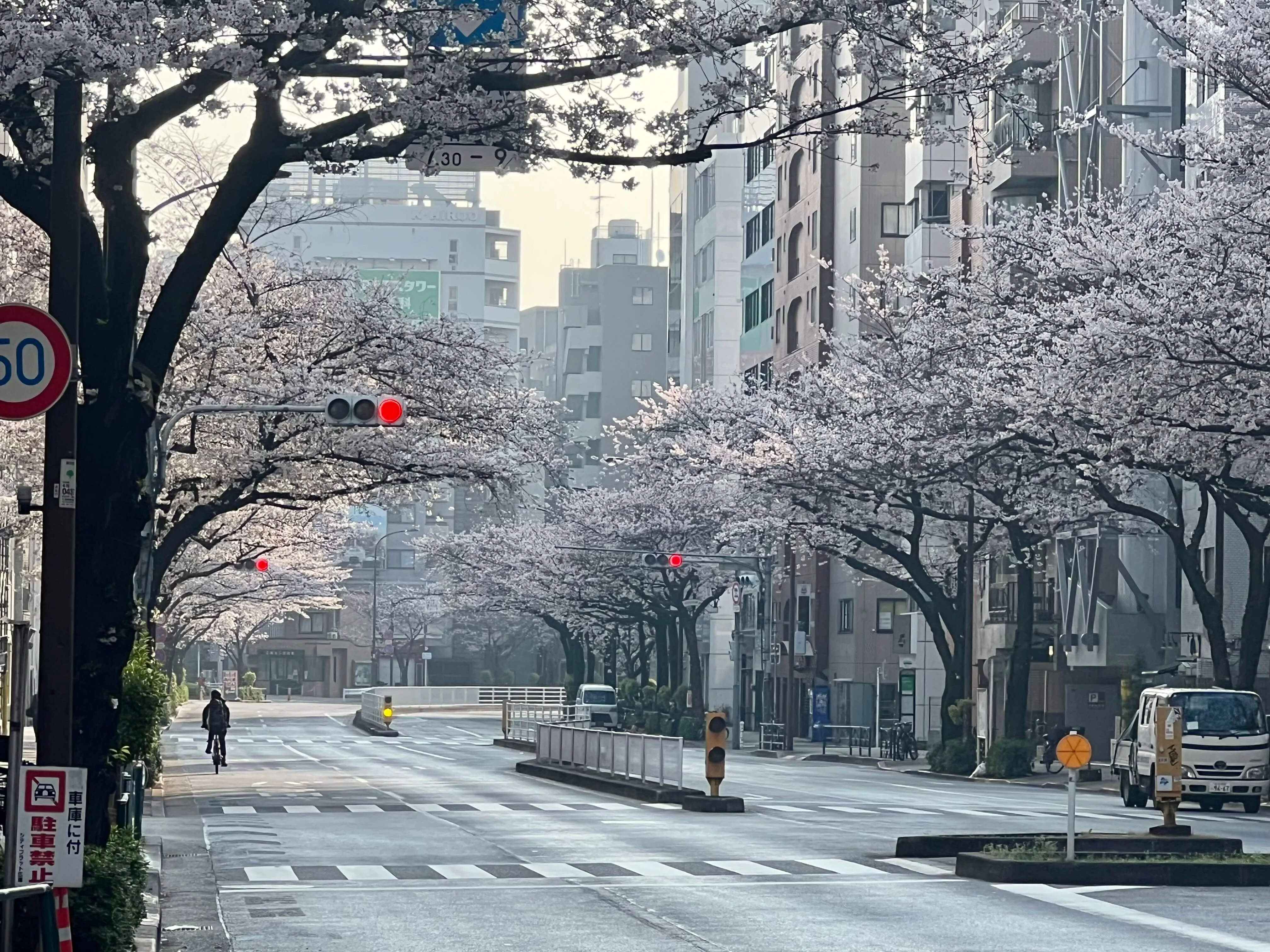 Meiji-dori