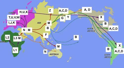 migrationmap4rq7png-1.webp
