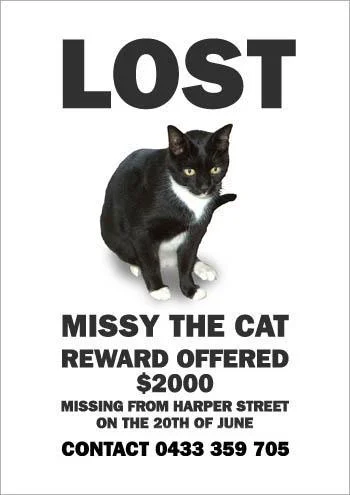 missing_missy4-1.webp