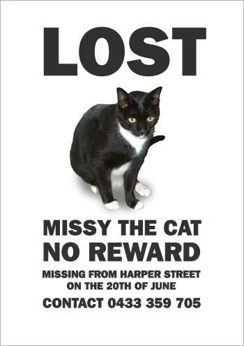 missing_missy5-1.webp