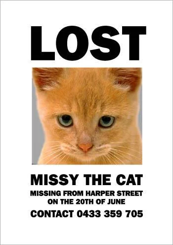 missing_missy6-1.webp