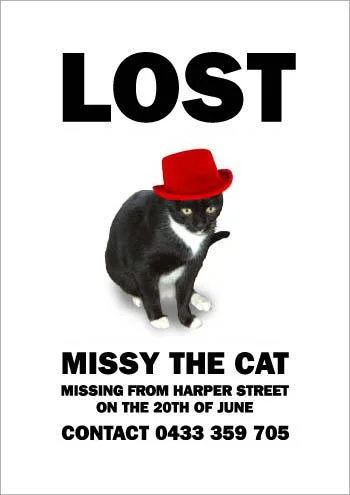missing_missy7-1.webp