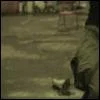 miyaviay9gif-1.webp