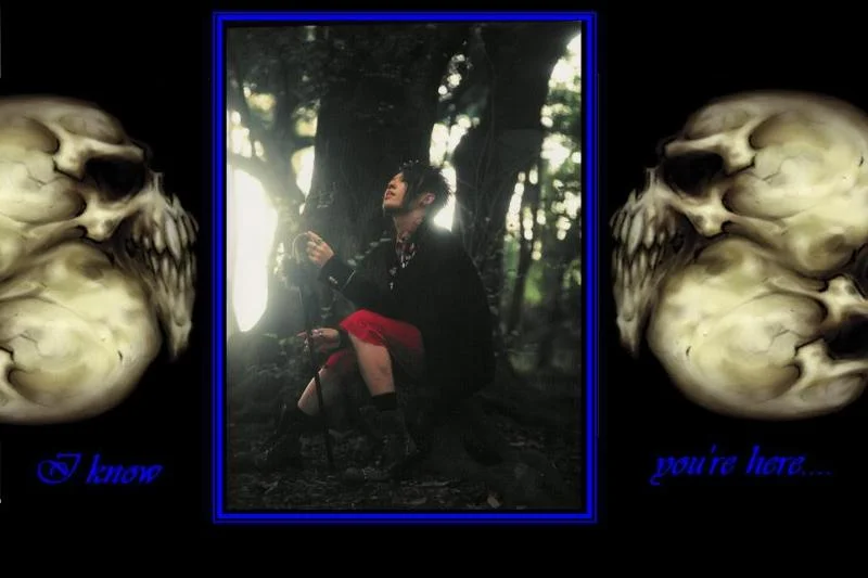 miyavibackround1-1.webp