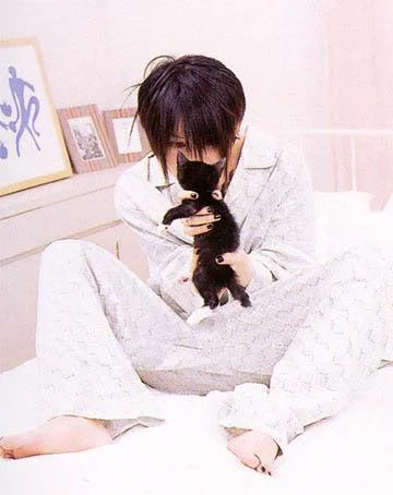 Miyavikitten-1.webp