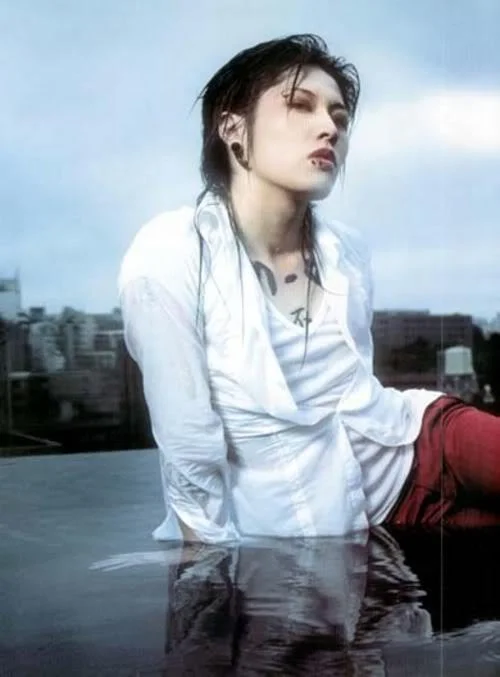 miyavilargemsg116156074906-1.webp
