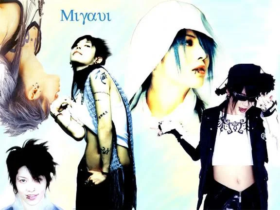 miyaviwall-1.webp