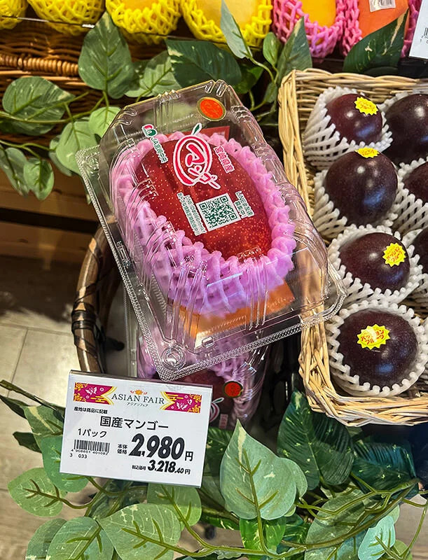 miyazaki-mango.jpg