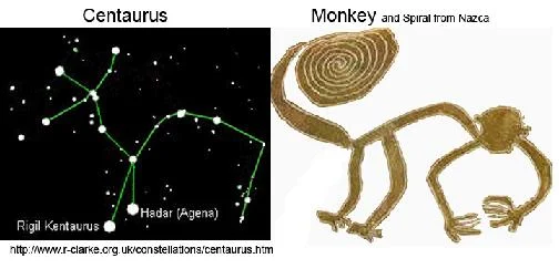 monkey2ge5gif-1.webp