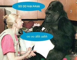 monkeyTalk-1.webp