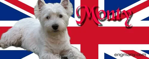 montybanner2gif-1.webp