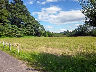 Moriyama Castle (守山城)