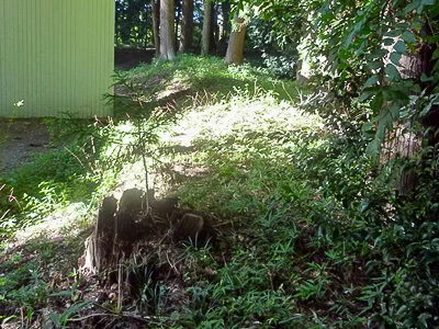 Moriyama Castle (守山城)