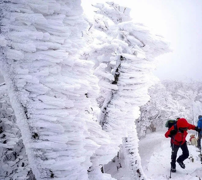Mount Takamiyama in Nara Prefecture