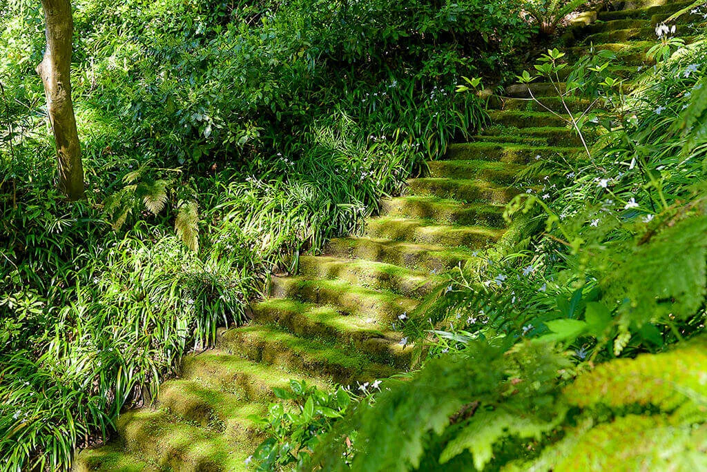 myohoji-mossy-stairs.webp