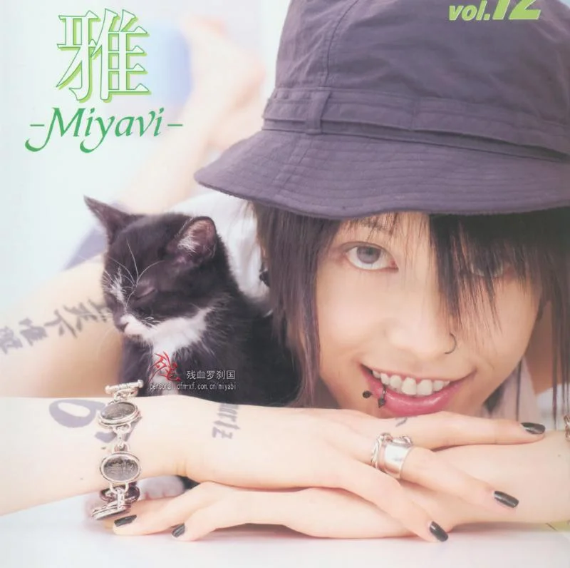myvgallery161-1.webp
