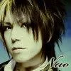 nao029-1.webp