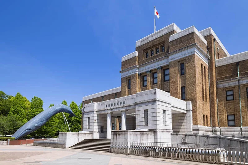 National Museum of Nature and Science (NMNS)