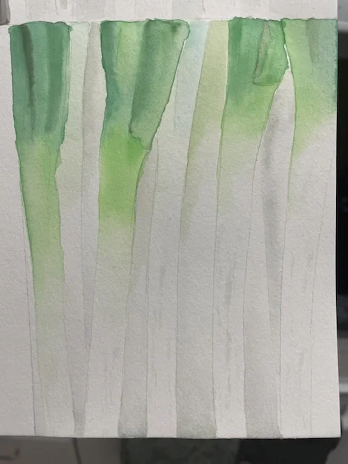 negi - watercolor.webp