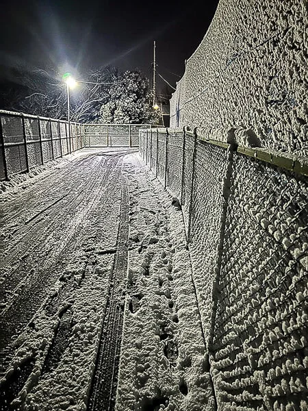 nightly-snow-2.webp
