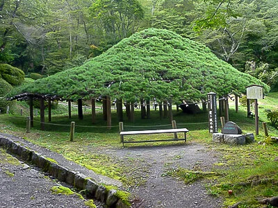 Nihonmatsu Castle (二本松城)
