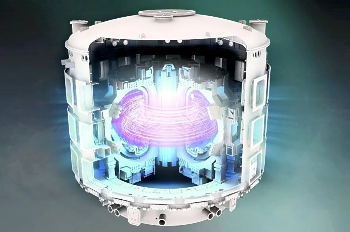 nuclear fusion reactor