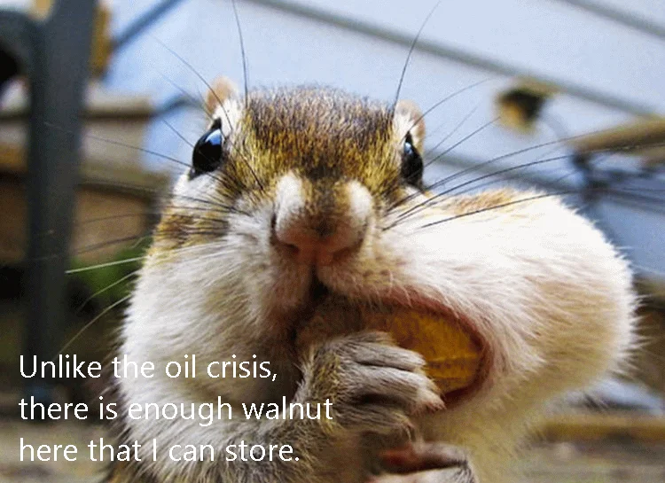 Nuts-In-Mouth-Funny-Chipmunk-Picture.webp