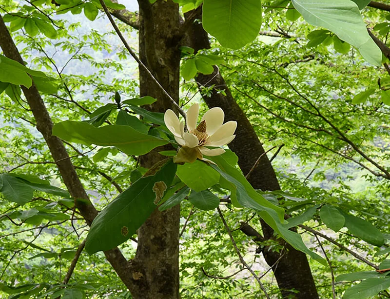okutama01-2.jpg