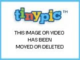 osfqtggif-1.webp