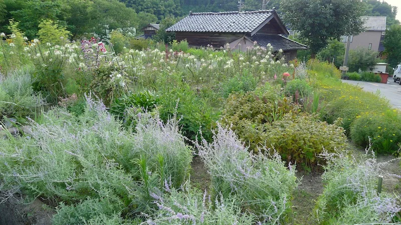 overall garden.webp