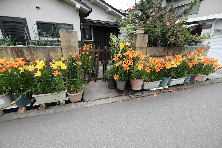 overall.webp
