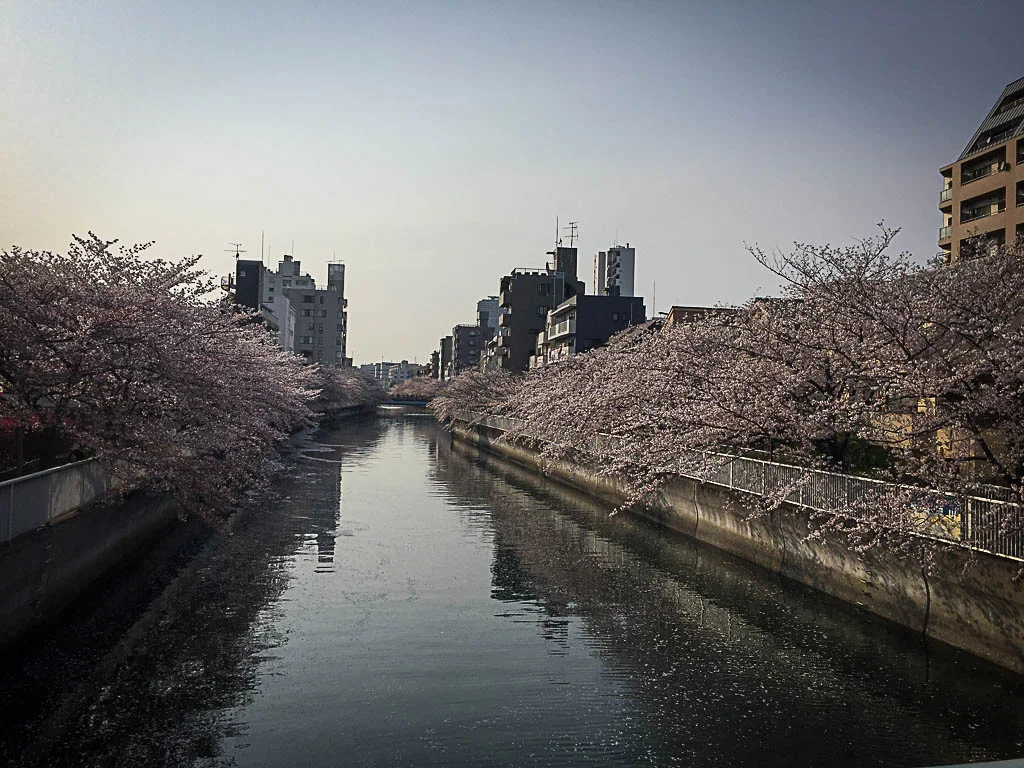 Oyokogawa_ Koto-ku.webp