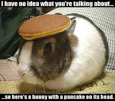 pancakebunny-1.webp