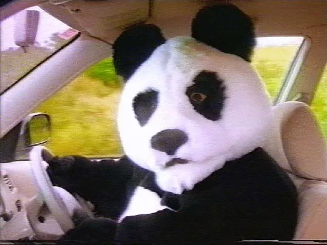panda-1.webp