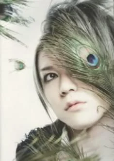 peacock-4.webp